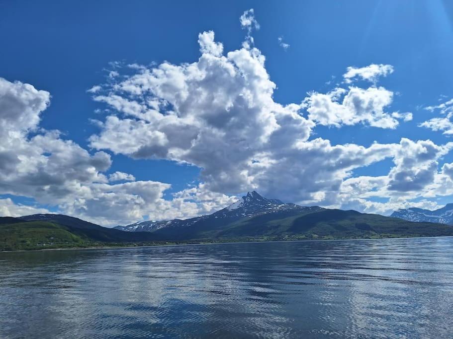 Privat Leilighet Pa Gard Med Badstue Og Nordlys นาร์วิก ภายนอก รูปภาพ