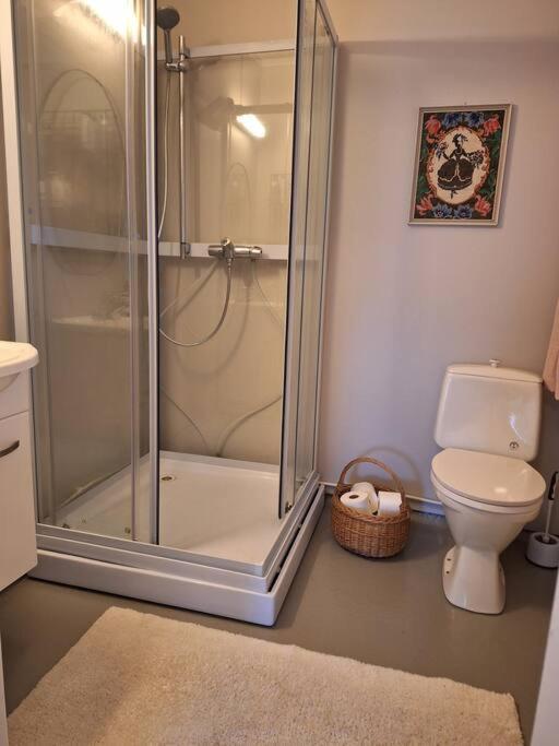 Privat Leilighet Pa Gard Med Badstue Og Nordlys นาร์วิก ภายนอก รูปภาพ