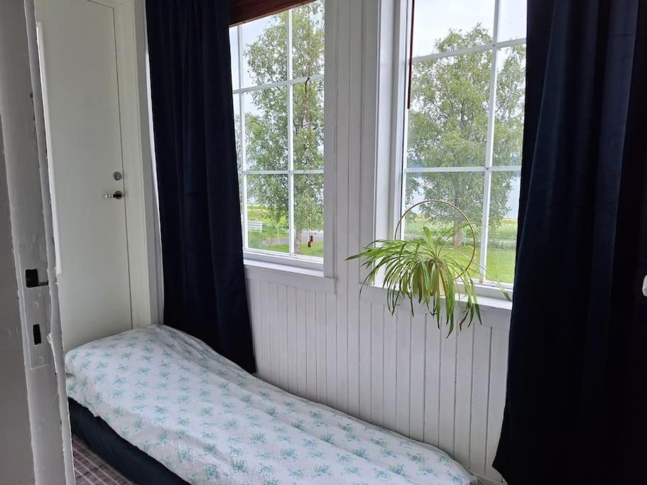 Privat Leilighet Pa Gard Med Badstue Og Nordlys นาร์วิก ภายนอก รูปภาพ