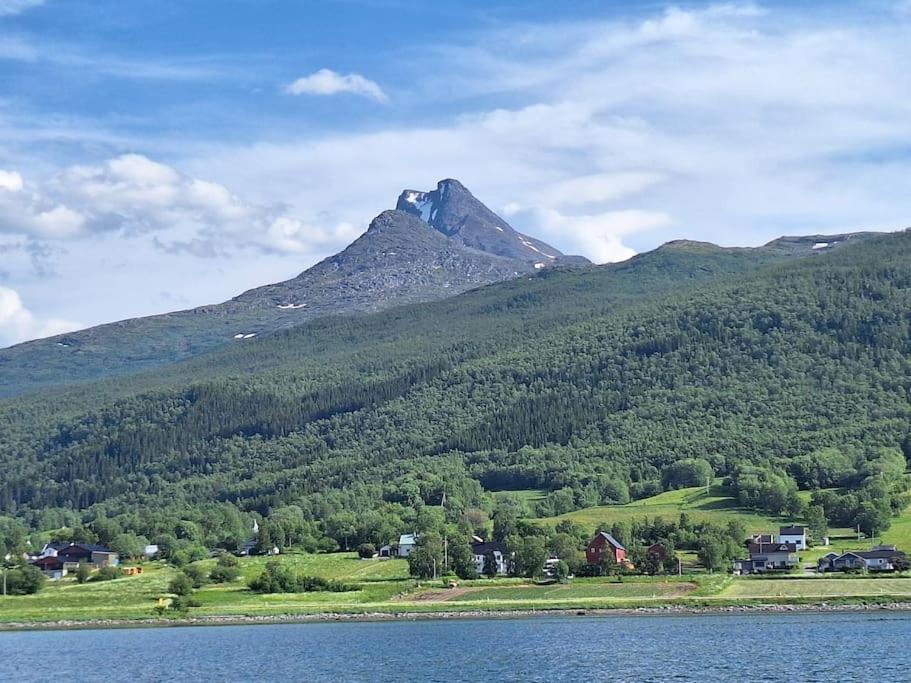 Privat Leilighet Pa Gard Med Badstue Og Nordlys นาร์วิก ภายนอก รูปภาพ